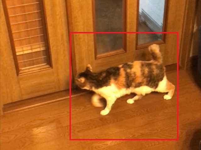 ディープラーニングによる猫検出